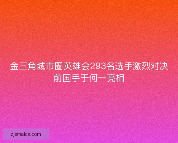 金三角城市圈英雄会293名选手激烈对决前国手于何一亮相