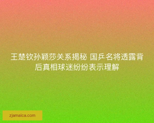 王楚钦孙颖莎关系揭秘 国乒名将透露背后真相球迷纷纷表示理解